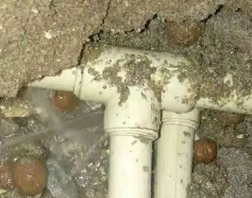 道真仡测漏水多少钱