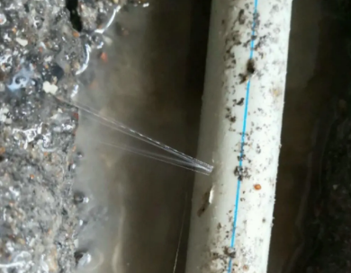 道真仡测漏水哪家好