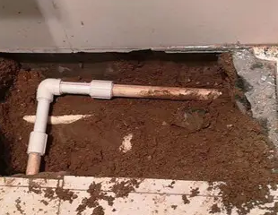 道真仡测漏水哪家好