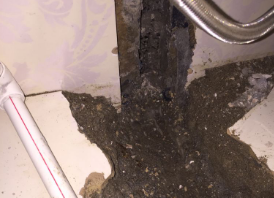 道真仡卫生间测漏水哪家好