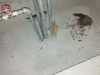 道真仡卫生间测漏水价格明细