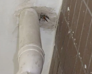 道真仡漏水检测哪家好